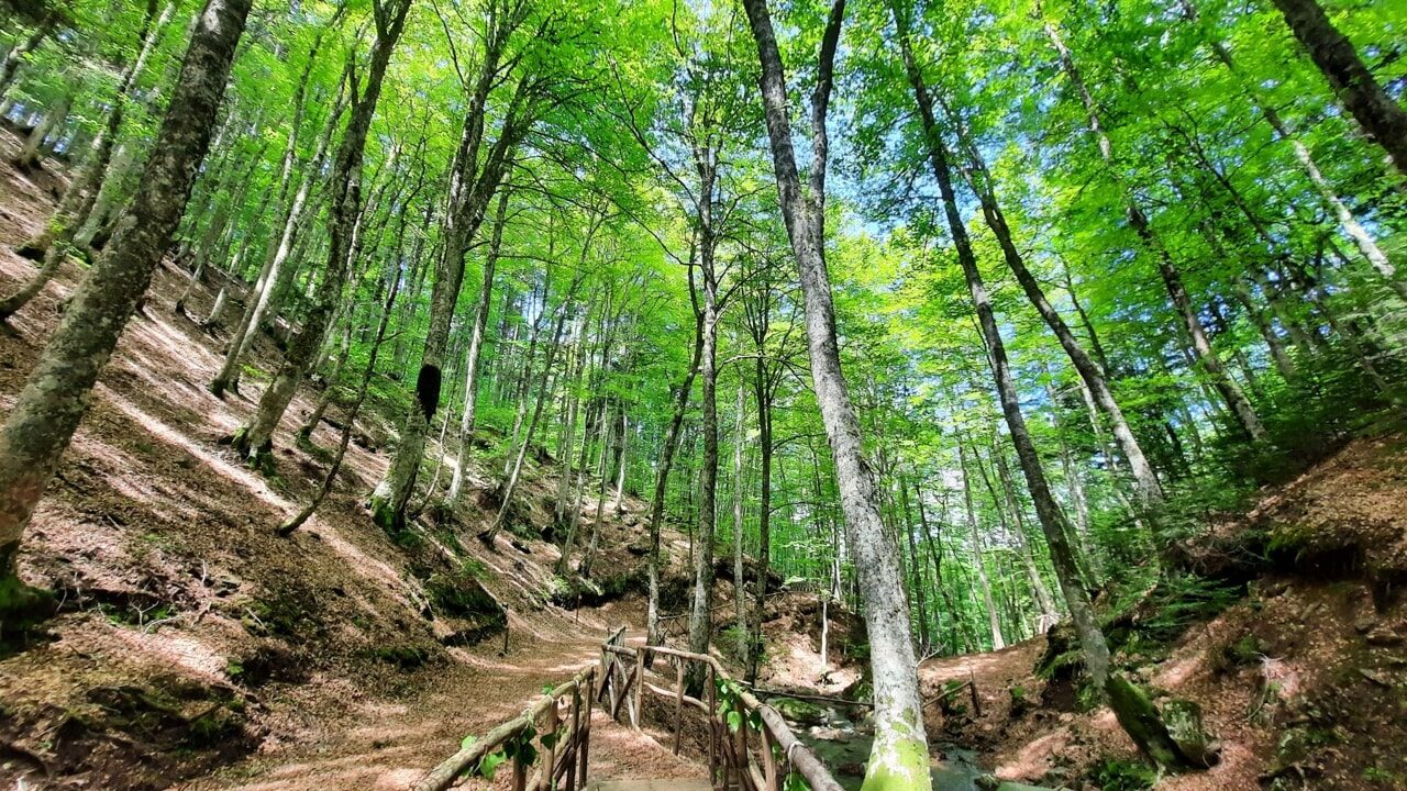 Parco Nazionale dell'Aspromonte
